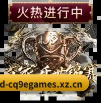 深挖数据金矿